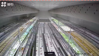 Smart Cabin Mushroom Room 20 2