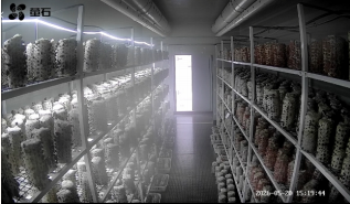 Smart Cabin Mushroom Room 21 3