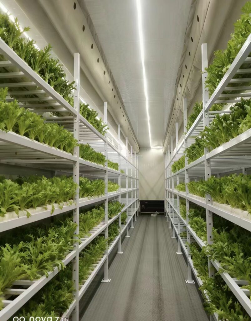 Hydroponic Plant Factory 2