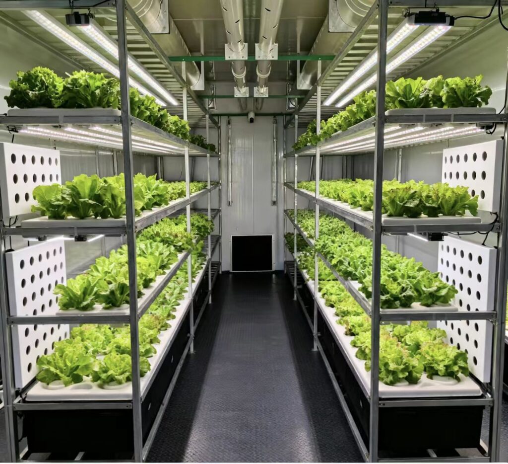Hydroponic Plant Factory 6