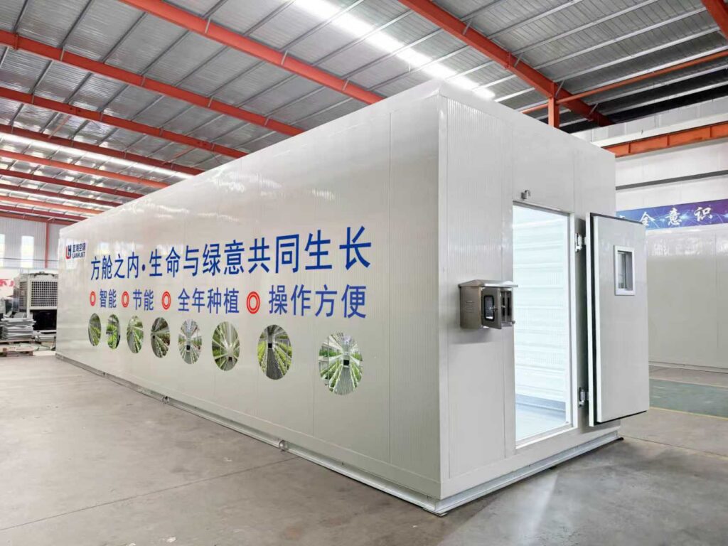 Hydroponic Plant Factory 8