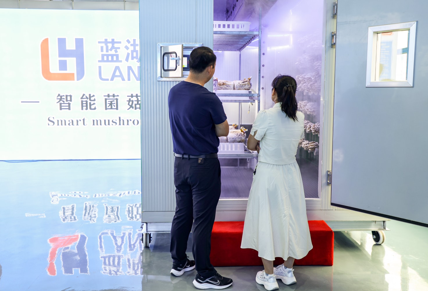 Mushroom Cultivation Air Conditioning Systems