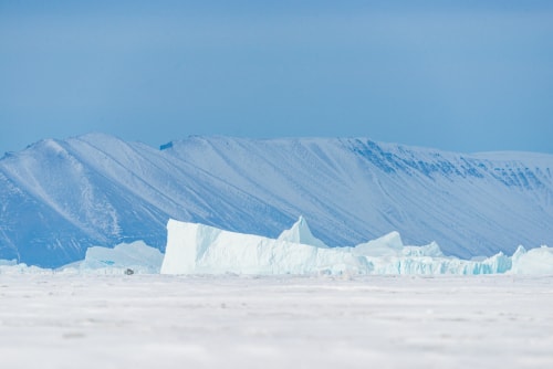 Polar regions