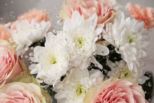 flowers
