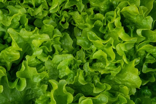 vegetables